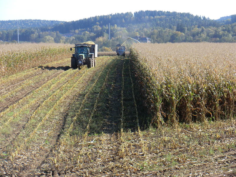 CIMG5465.jpg