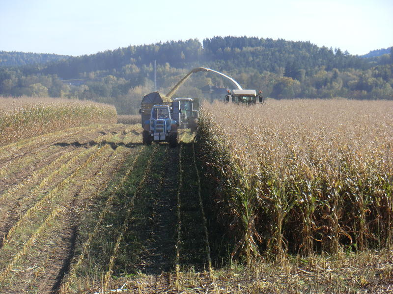 CIMG5468.jpg