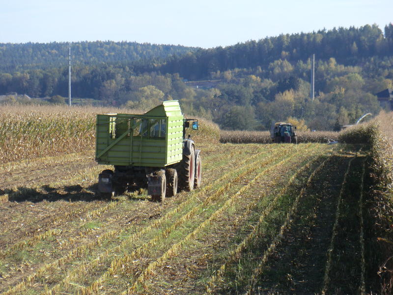 CIMG5477.jpg