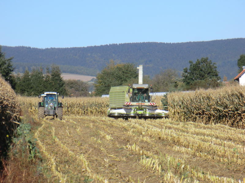 CIMG5482.jpg