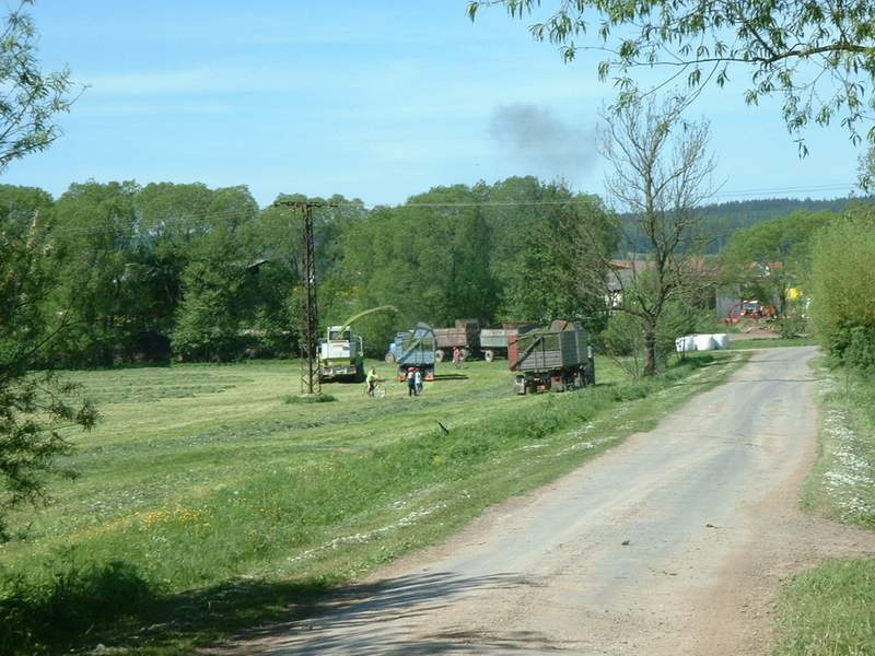 jaguar_880_+_fendt_824_+_w50_+_zt_303.jpg