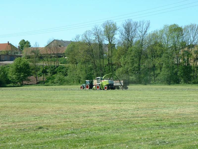 jaguar_900_+_fendt_514_.jpg