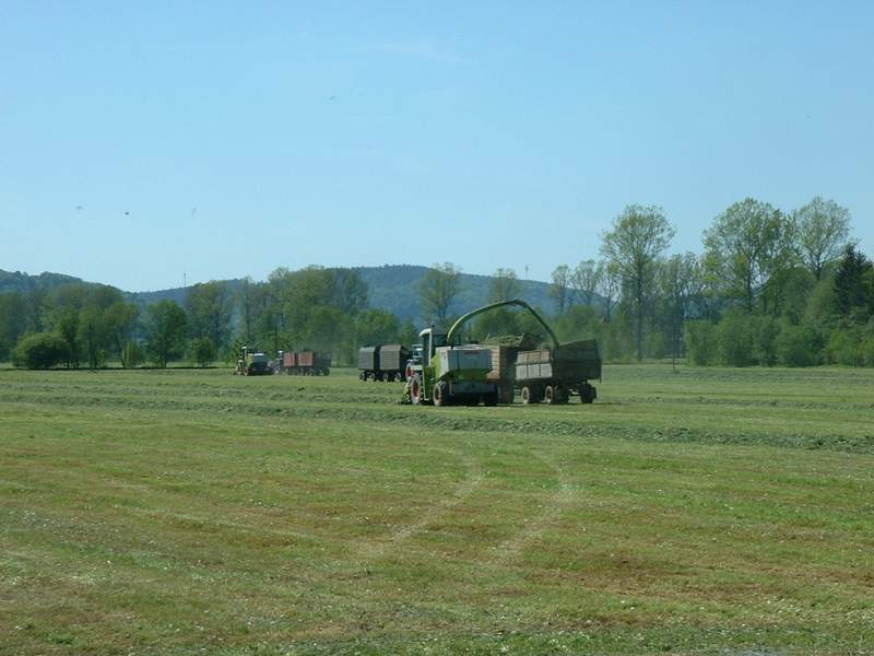 jaguar_900_+_jaguar_880_+_2x_fendt_824_+_fendt_514_.jpg
