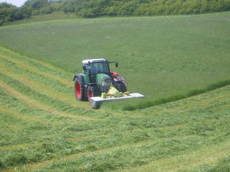 fendt_815_12.jpg