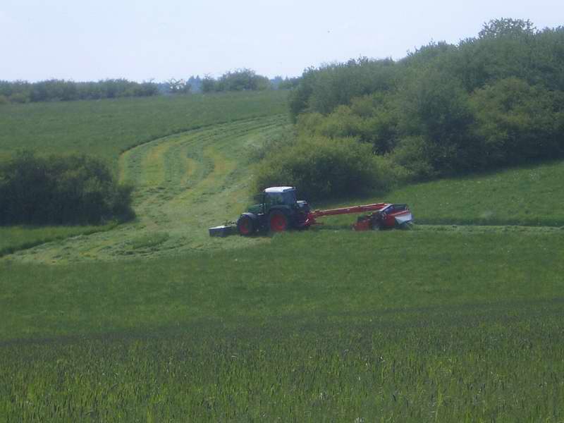 bilder/26_5_2003_1/zt_323_4.jpg