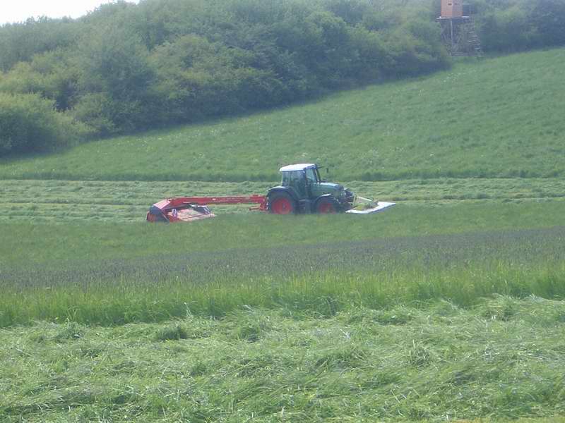 fendt_815_22.jpg