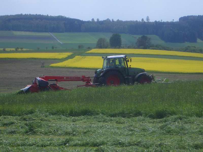 fendt_815_6.jpg