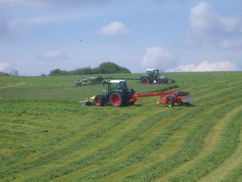 fendt_815_716_4.jpg