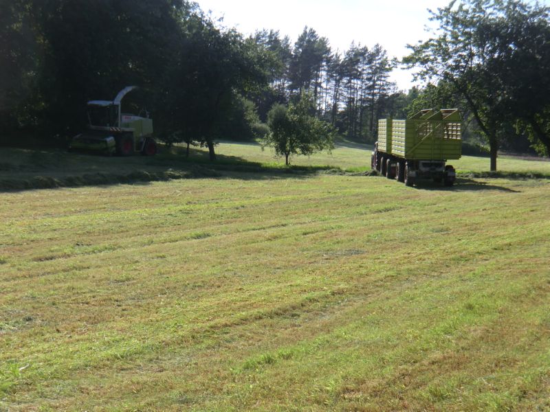 bilder/27_5_2017/DSC08500.jpg