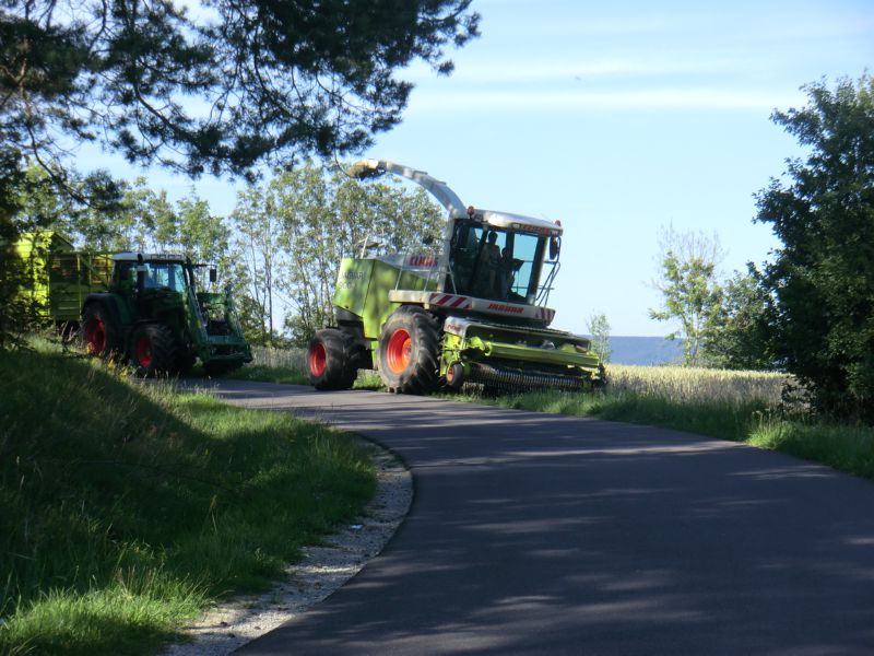 CIMG3115.jpg