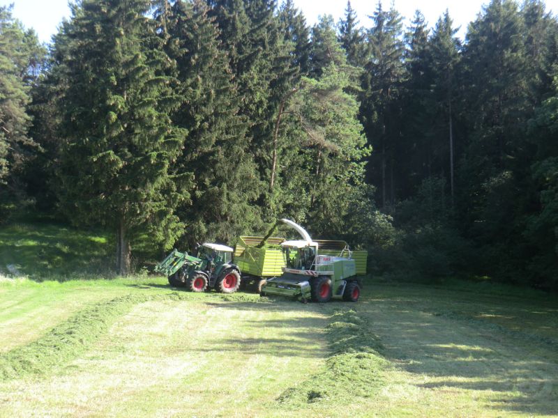 bilder/16_7_2011/CIMG3121.jpg