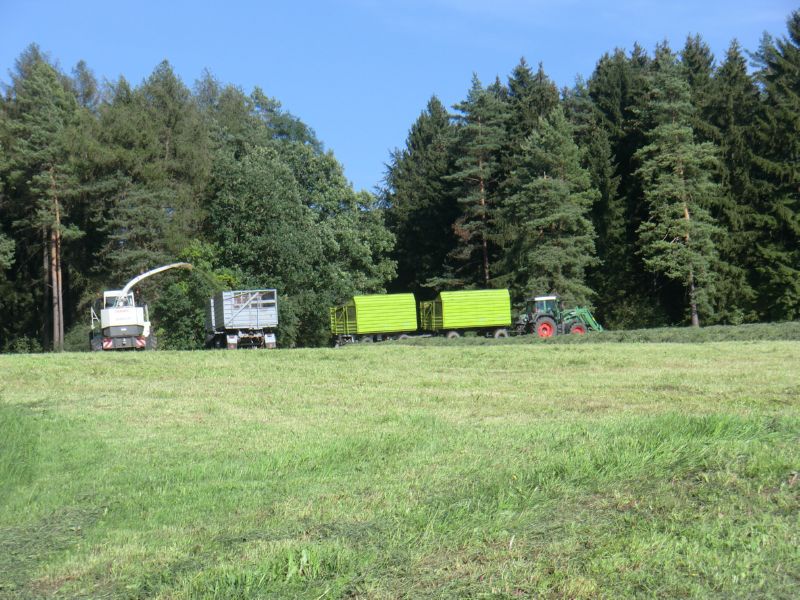 CIMG3142.jpg