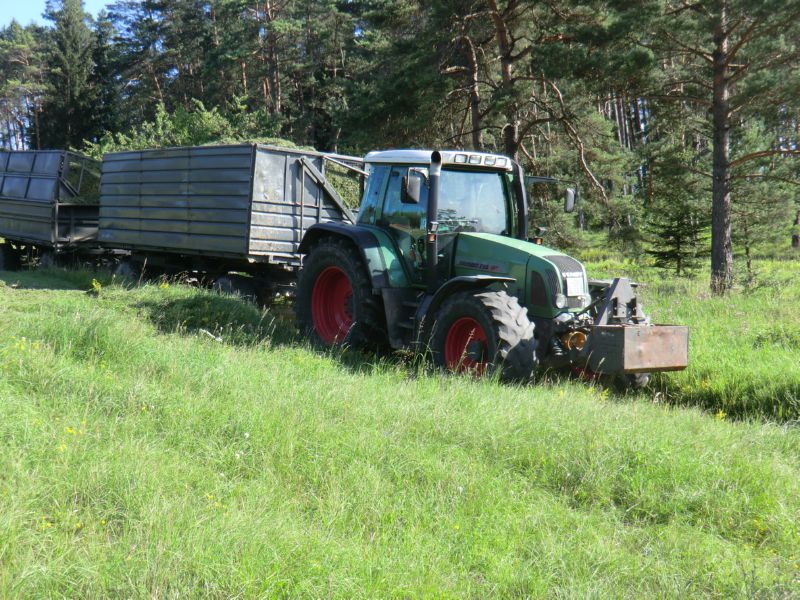 bilder/7_7_2003/xerion_+_zt_323_4.jpg