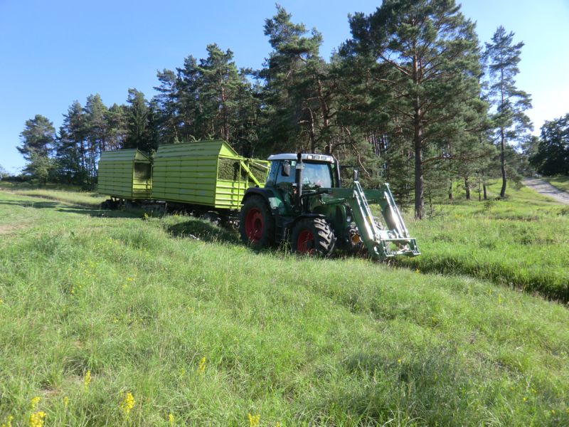 CIMG3146.jpg