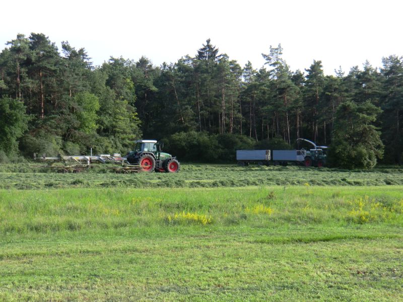 CIMG3177.jpg