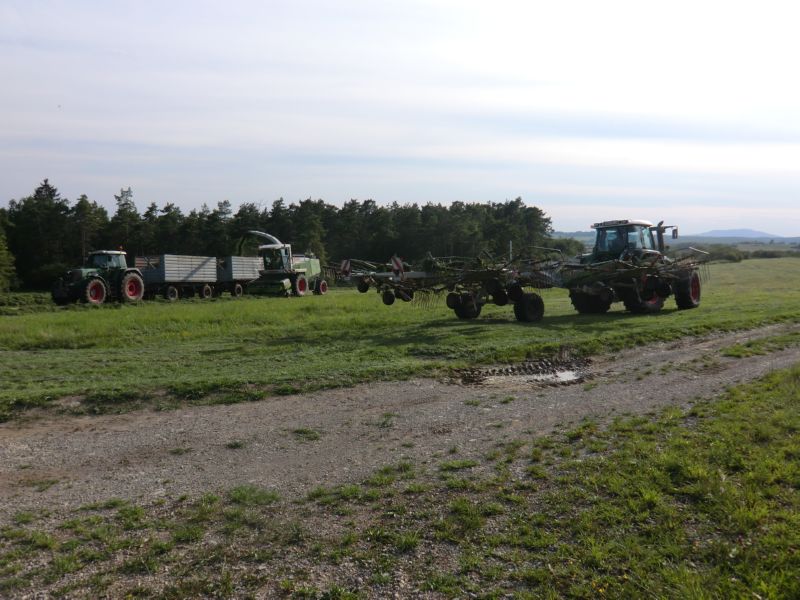 bilder/16_7_2011/CIMG3187.jpg