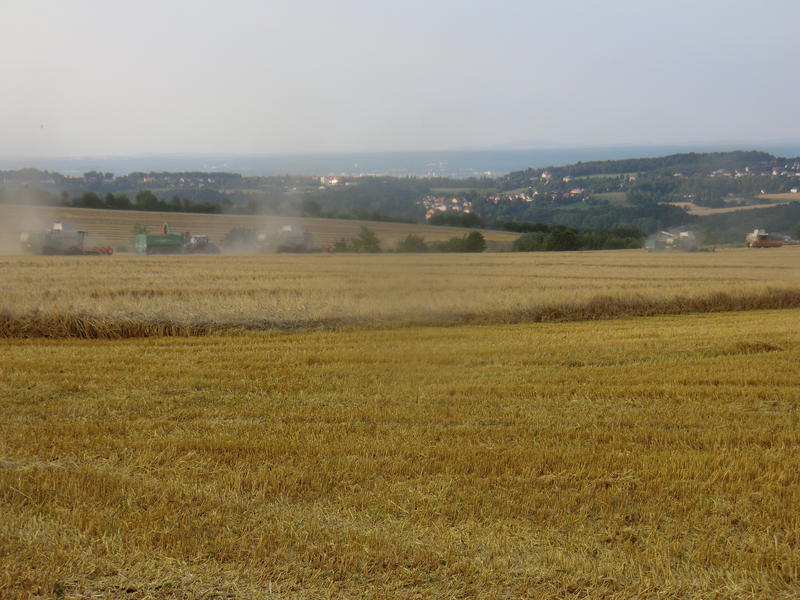 CIMG7229.jpg