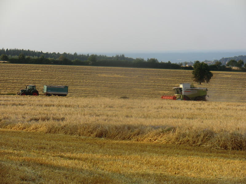 bilder/13_8_2002/fendt_716.jpg