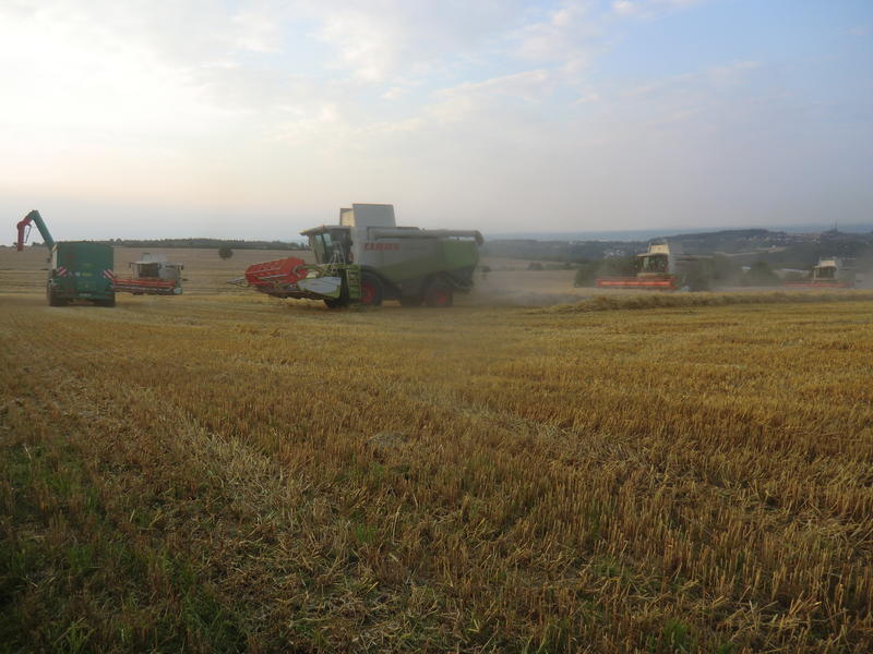 bilder/16_7_2014/CIMG7270.jpg