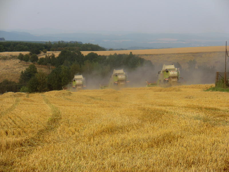 bilder/16_7_2014/CIMG7272.jpg