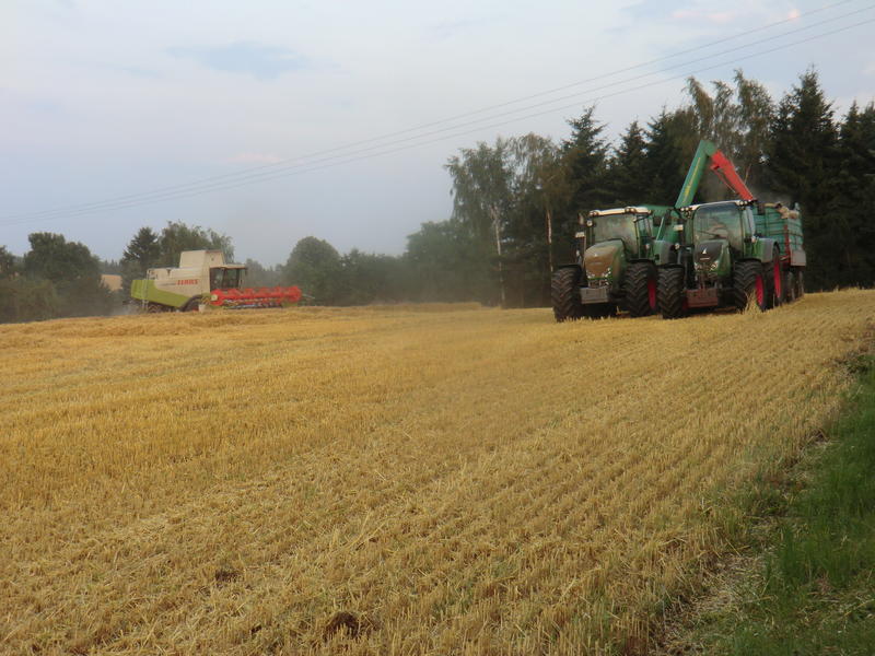 bilder/16_7_2014/CIMG7287.jpg