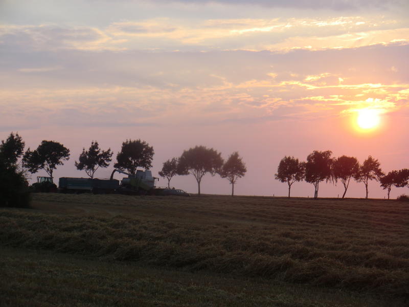 bilder/16_7_2014/CIMG7290.jpg