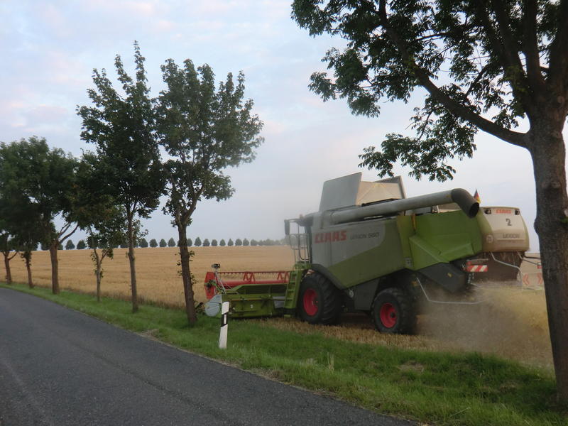 bilder/16_7_2014/CIMG7297.jpg