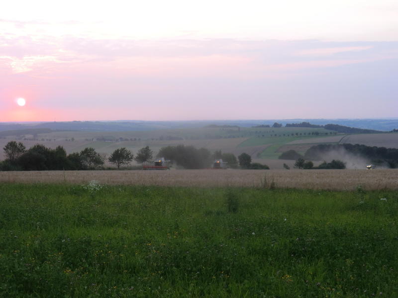 bilder/16_7_2014/CIMG7299.jpg