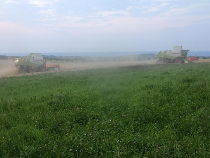 bilder/13_5_2002/zt_300_2.jpg