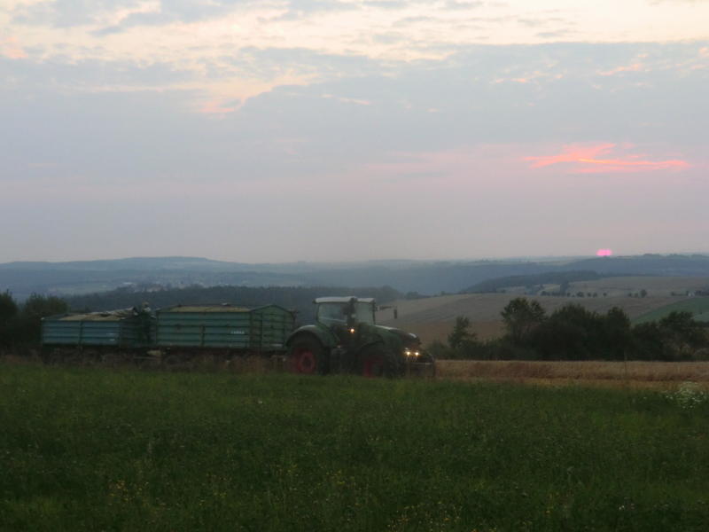 bilder/8_10_2013_2/CIMG0159.jpg