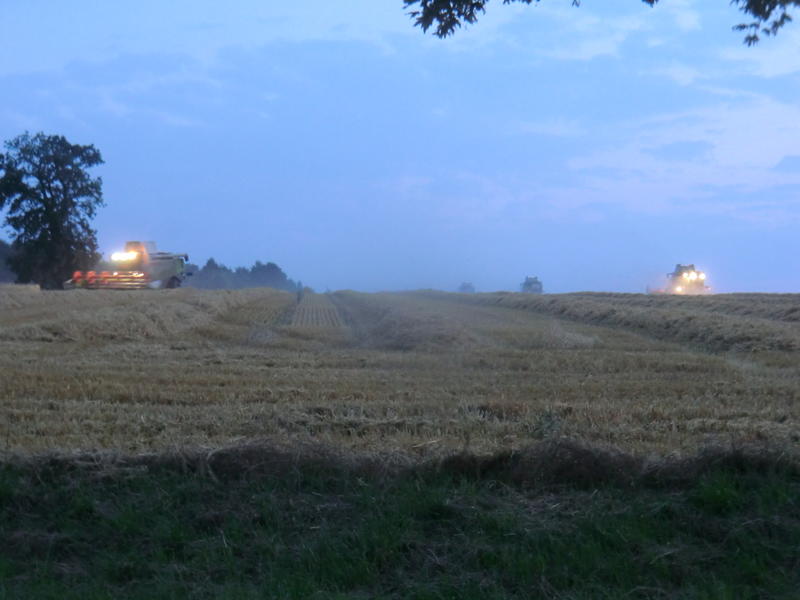 bilder/16_7_2014/CIMG7324.jpg