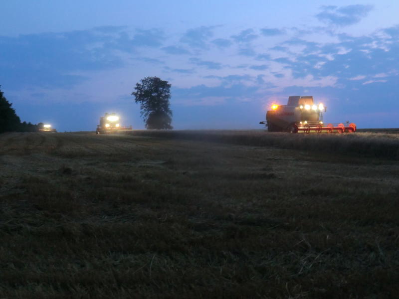 bilder/16_7_2014/CIMG7326.jpg