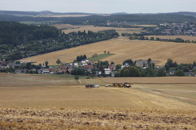DSC03744.jpg