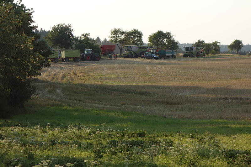 DSC03935.jpg