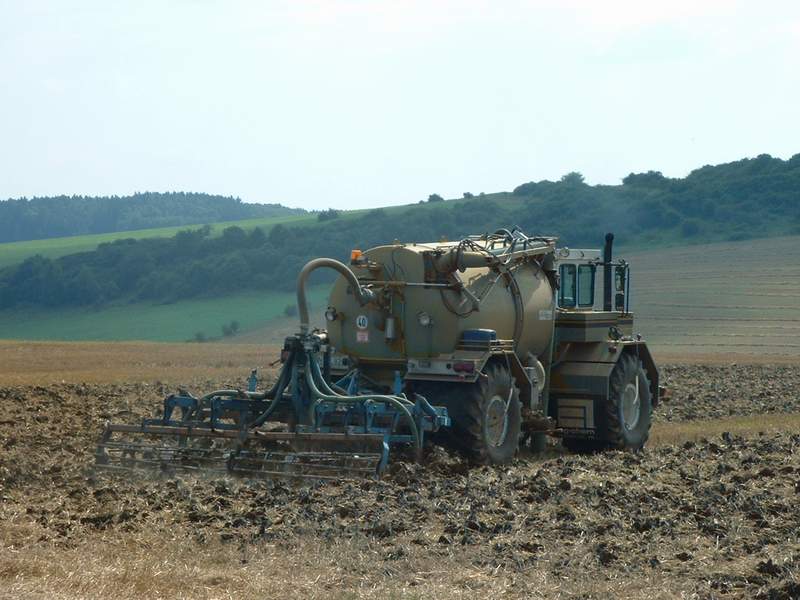 terra_gator_2.jpg