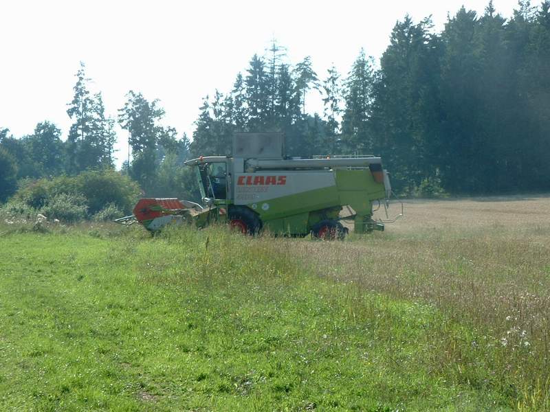 lexion.jpg