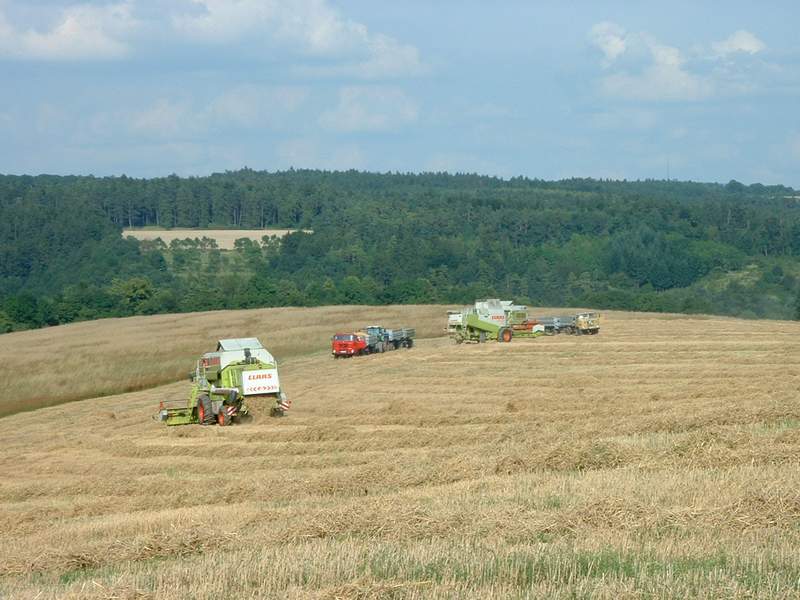 lexion_+_2x_mega_+_fendt_824_+_2x_w50.jpg