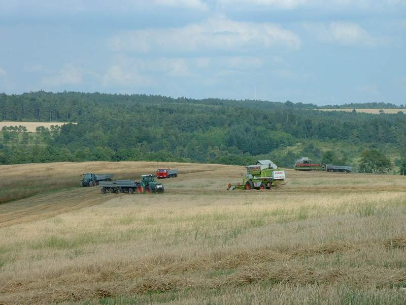 bilder/16_8_2002_2/lexion_+_mega_+_fendt_824_+_fendt_514_+_2x_w50.jpg