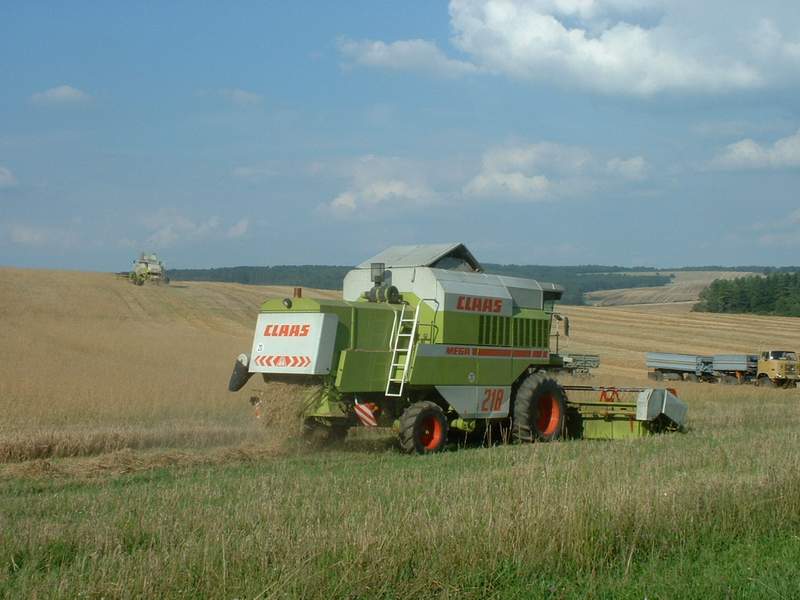 lexion_+_mega_+_w50.jpg