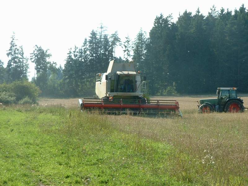 lexion_2.jpg