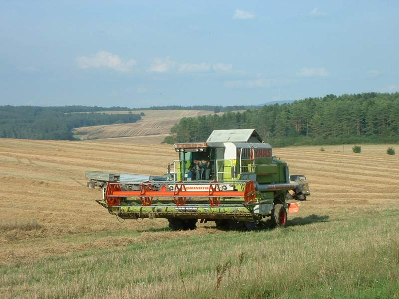 bilder/16_8_2002_2/mega_+_fendt_514_+_w50_2.jpg