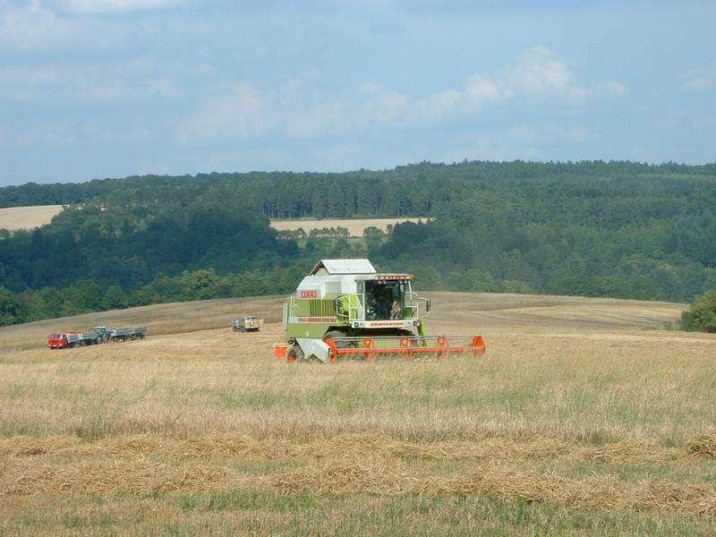 mega_+_fendt_824_+_2x_w50.jpg