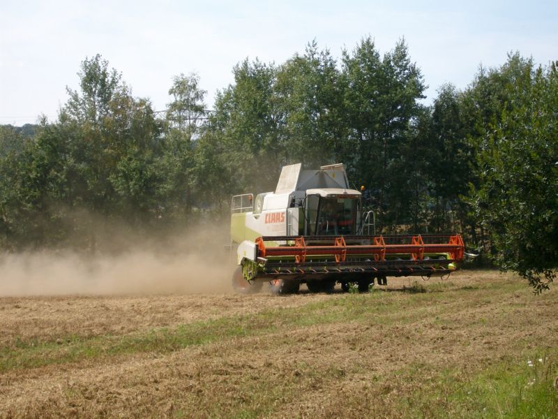 bilder/29_5_2012/CIMG8599.jpg
