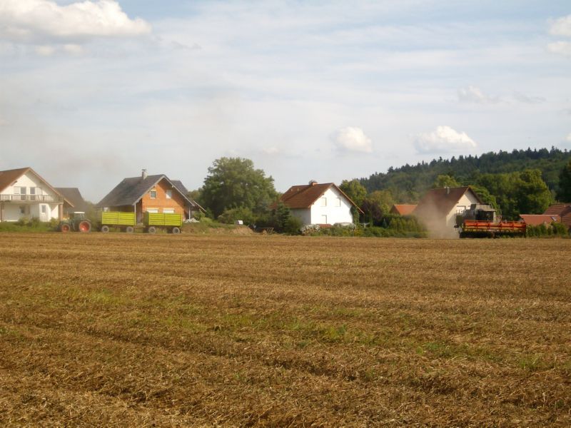 IMGP7674.jpg