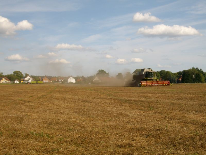 bilder/22_4_2004/zt_303_11.jpg