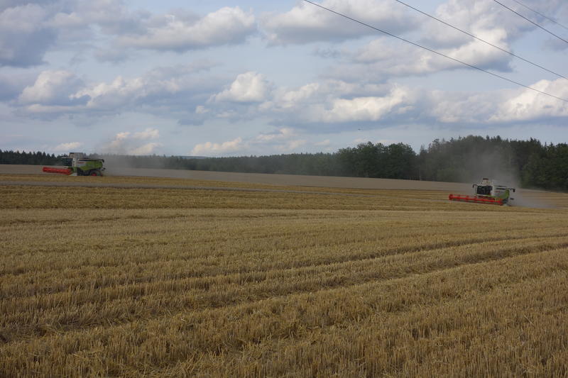 DSC08233.jpg