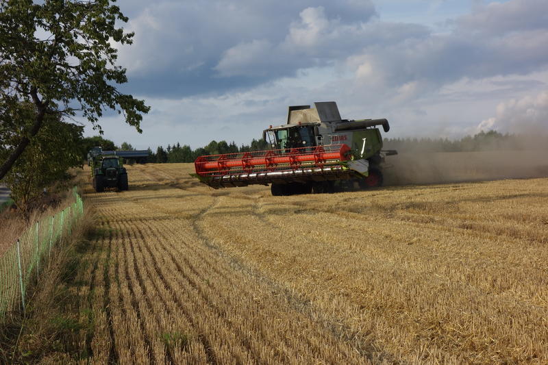 bilder/16_8_2019/DSC08252.jpg