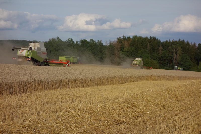 bilder/16_8_2019/DSC08264.jpg