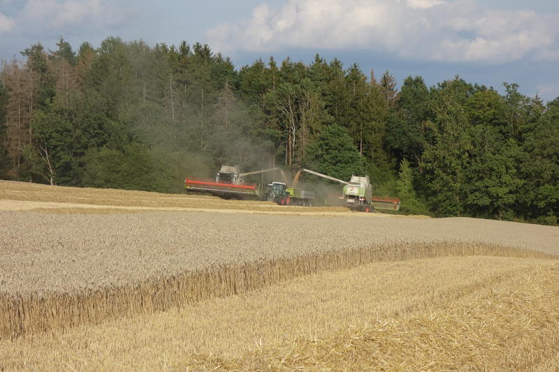 bilder/25_5_2005/jaguar_fendt_824_19.jpg