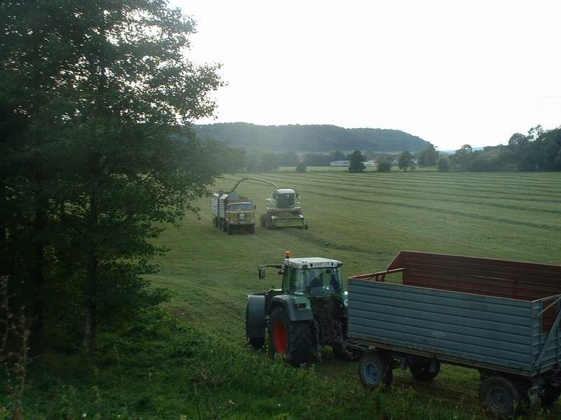 bilder/16_9_2002/jaguar_+_fendt_824_+_w50.jpg